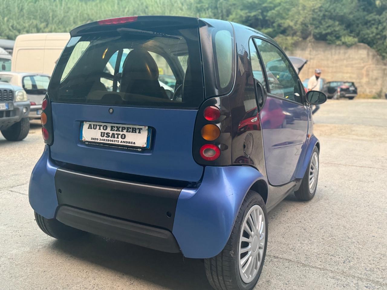 Smart 600 smart & pure (40 kW) 2001