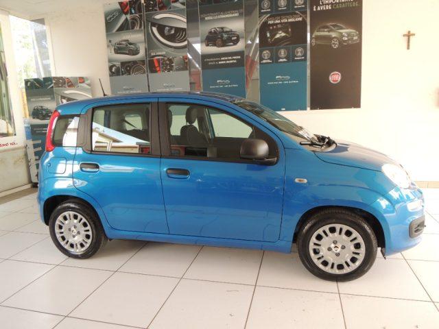 FIAT Panda 1.0 FireFly Hybrid Icon