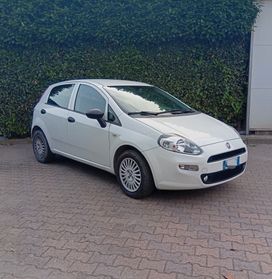 Fiat Punto 1.4 2016 5 porte Street gpl
