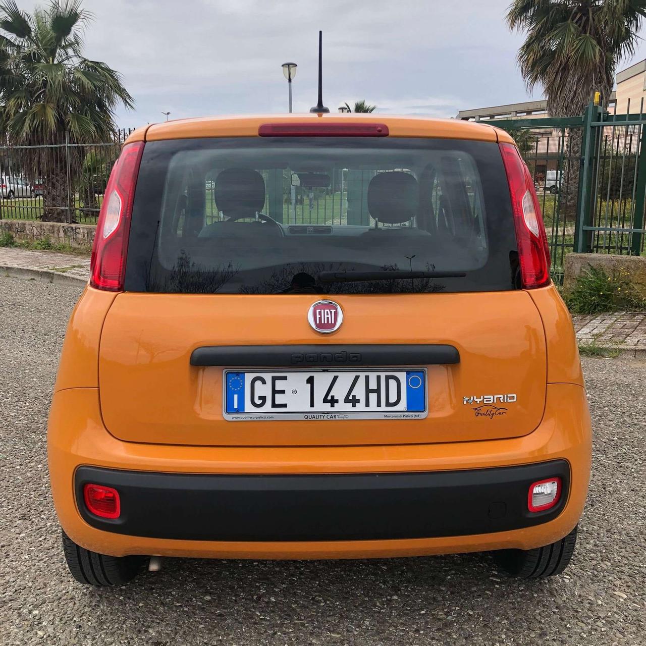 Fiat Panda Panda