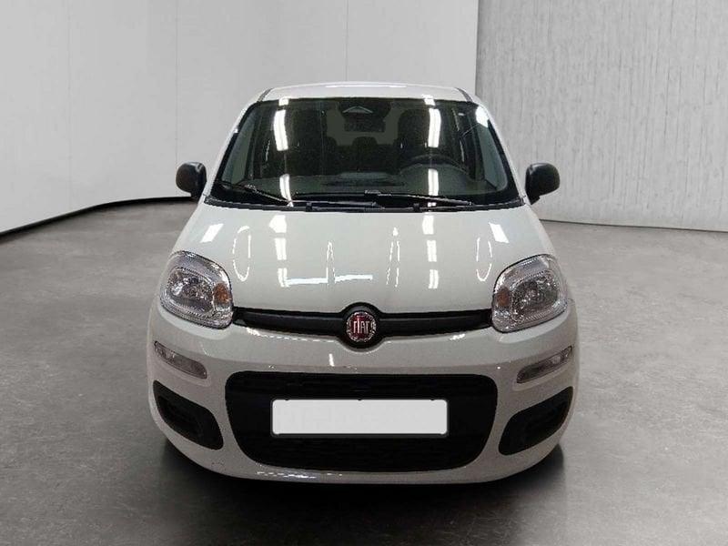 FIAT Pandina 1.0 firefly hybrid Icon s&s 70cv 5p.ti