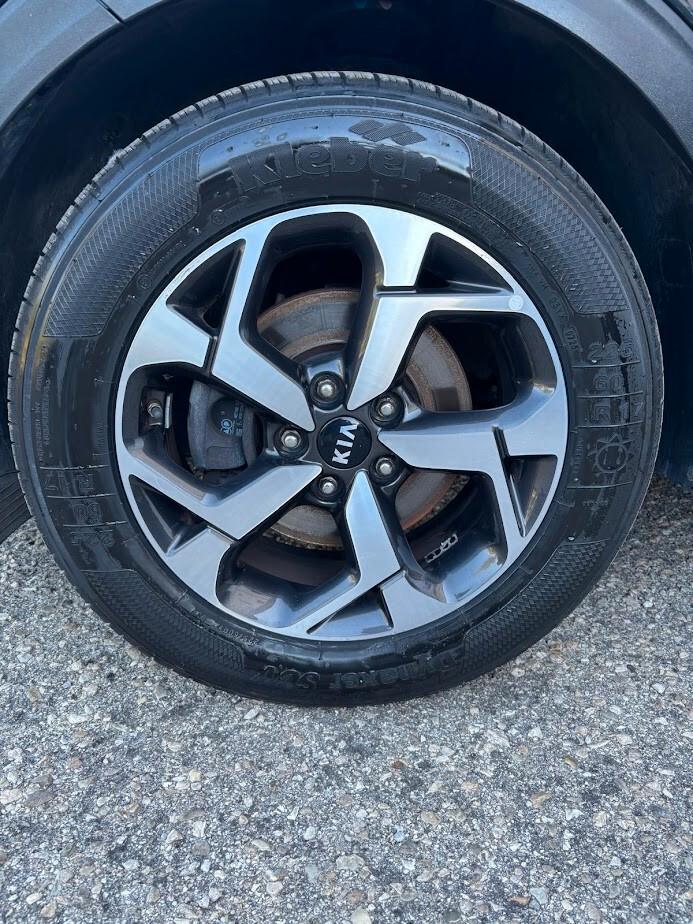 Kia Sportage 1.6 CRDI 136 CV DCT7 2WD Mild Hybrid Business Class