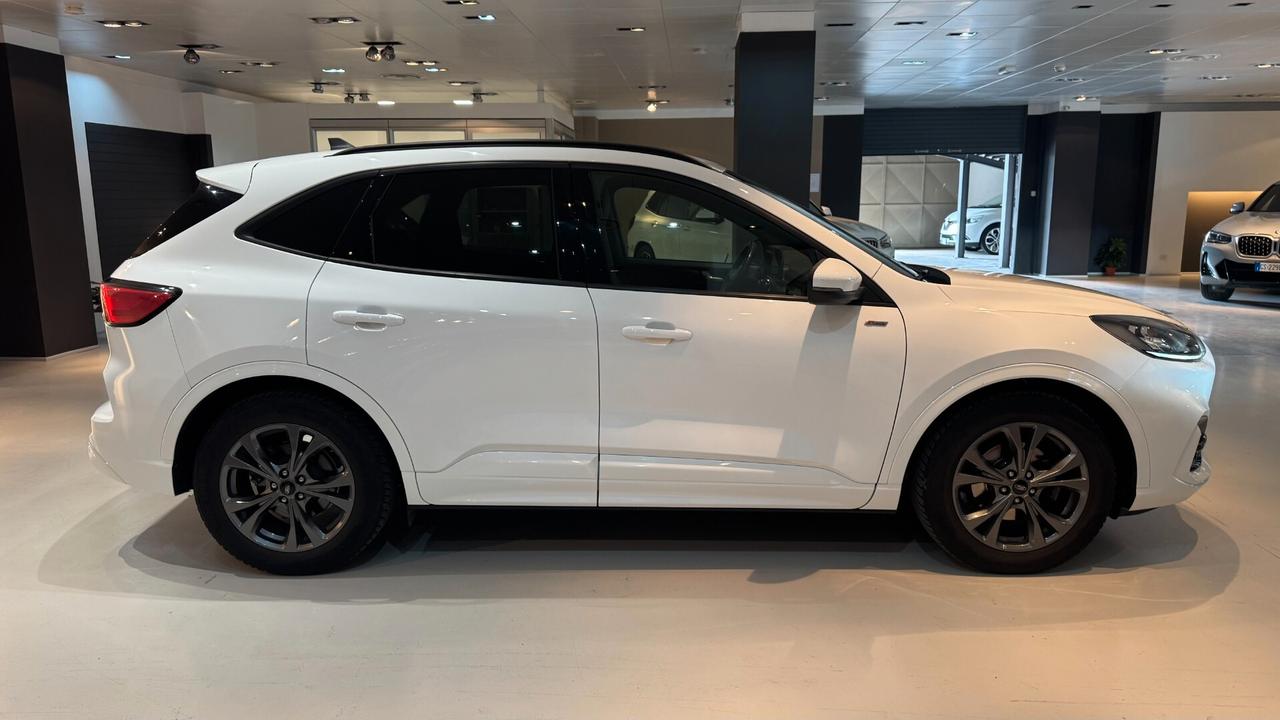 FORD KUGA 2.0 ECOBLUE 120CV ST.-LINE X AUTOMATICA 120CV - 2023