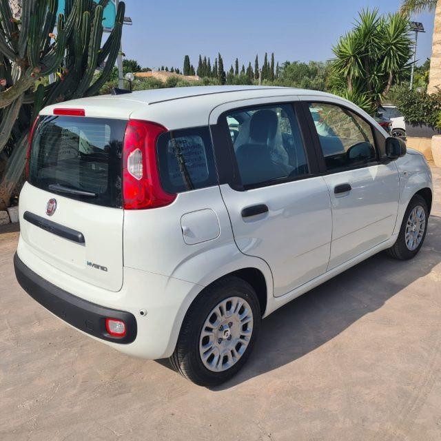 FIAT Pandina 1.0 FireFly 65 CV Hybrid Icon