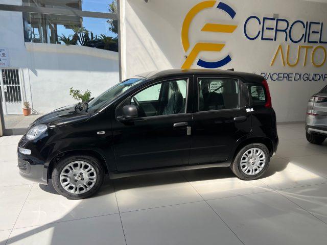 FIAT Panda 1.0 FireFly S&S Hybrid Icon tua da ?149,,00