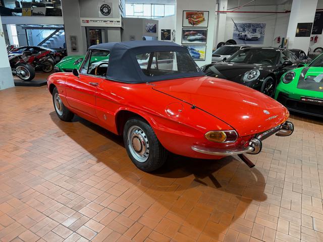 ALFA ROMEO Spider Osso di Seppia 1750 Veloce