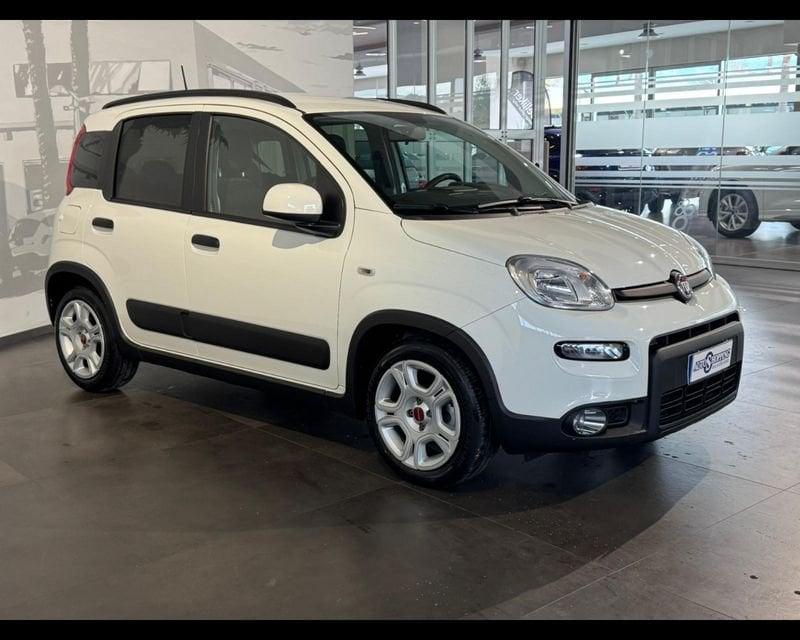 FIAT Panda 3ª serie 1.0 FireFly S&S Hybrid City Cross