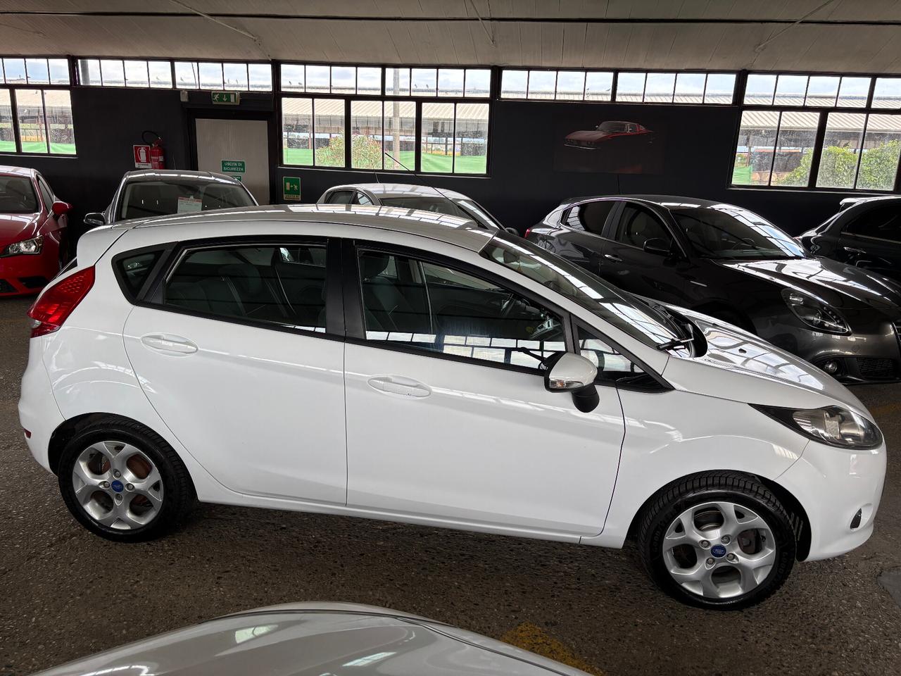 Ford Fiesta 1.4 TDCi 70CV 5p Titanium NEOPATENTATO