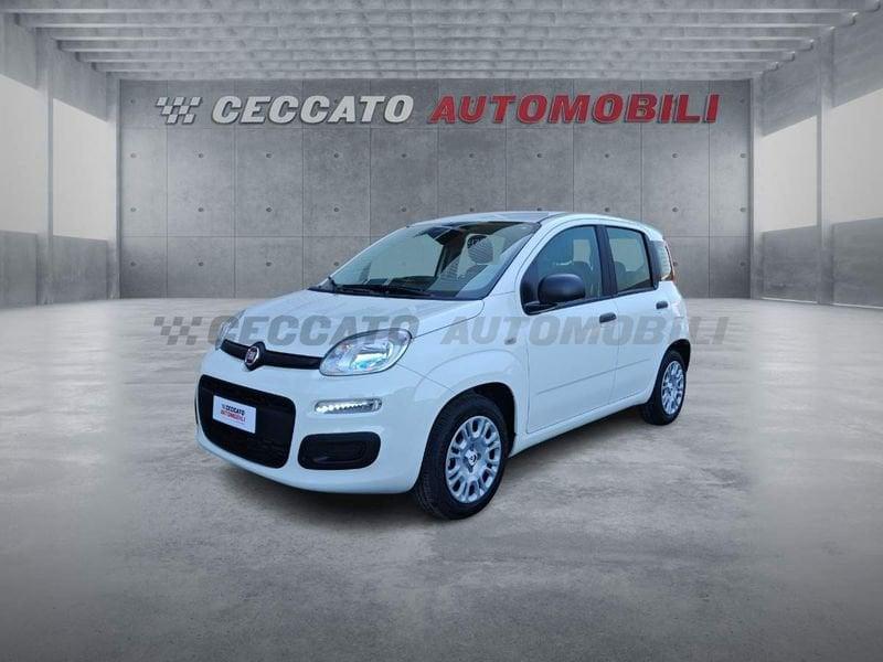 FIAT Pandina Pandina 1.0 65cv Hybrid Icon