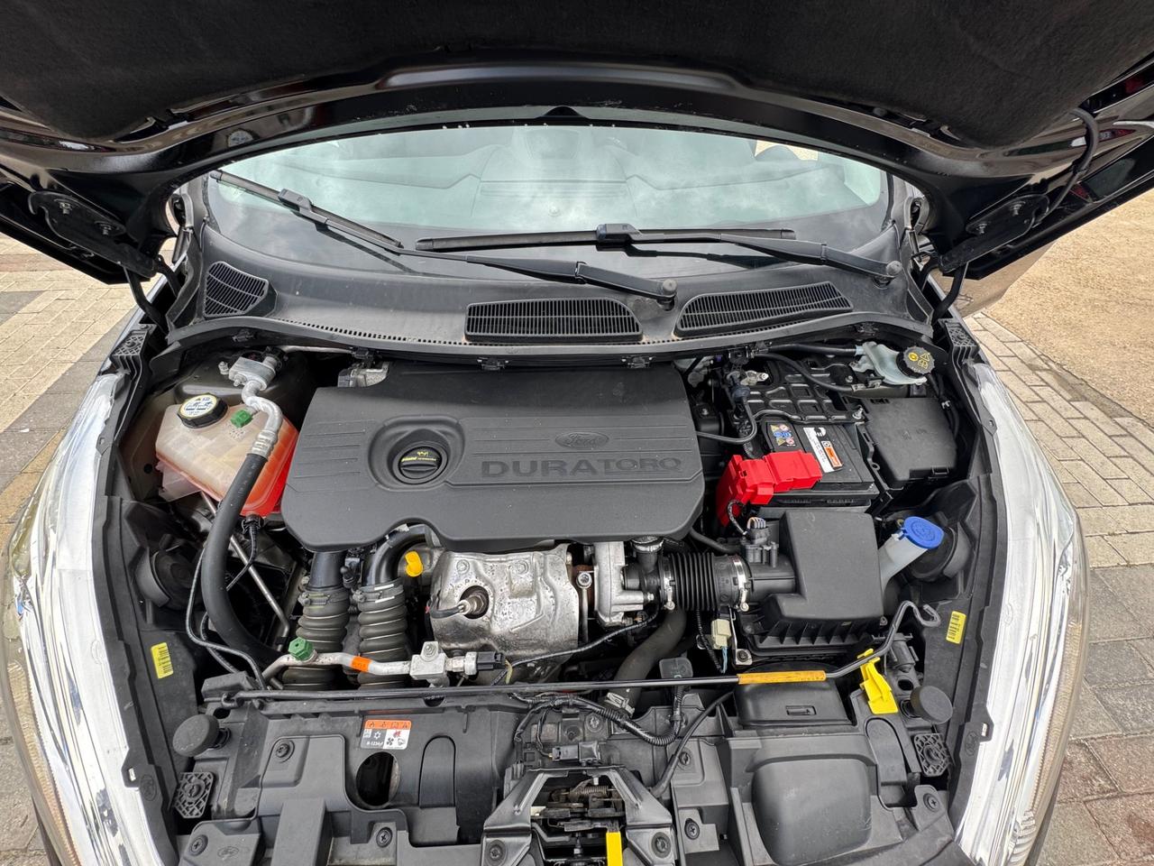 Ford Fiesta 1.5 TDCi 75CV 5 porte Titanium Prezzo Promo Finanziamento in Sede