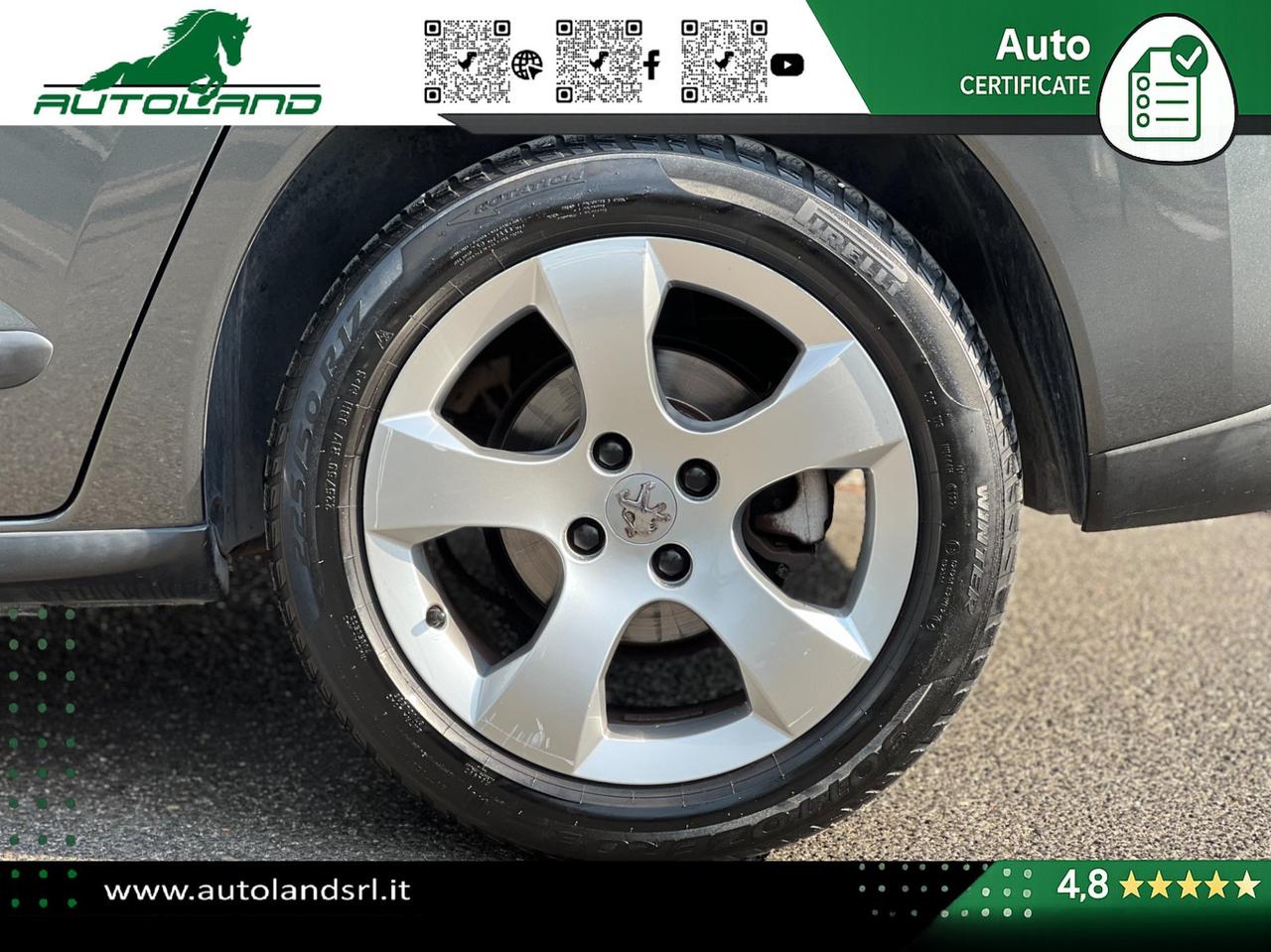 Peugeot 3008 3008 1.6 e-hdi 8v Business s&s 112cv robot