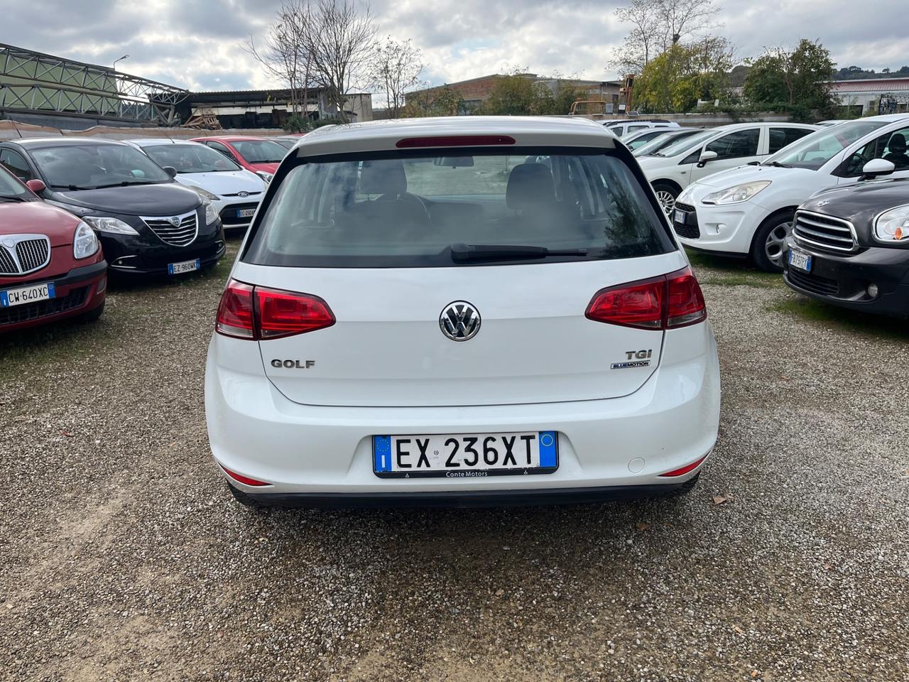 Volkswagen Golf Business 1.4 TGI 5p. Comfortline BlueMotion