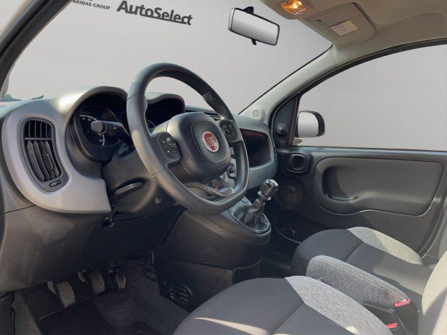 FIAT Panda 1.0 HYBRID 4 POSTI N1 AUTOCARRO