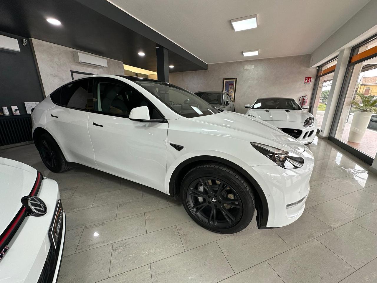 Tesla Model Y DUAL MOTOR LONG RANGE AWD Maxi #7387