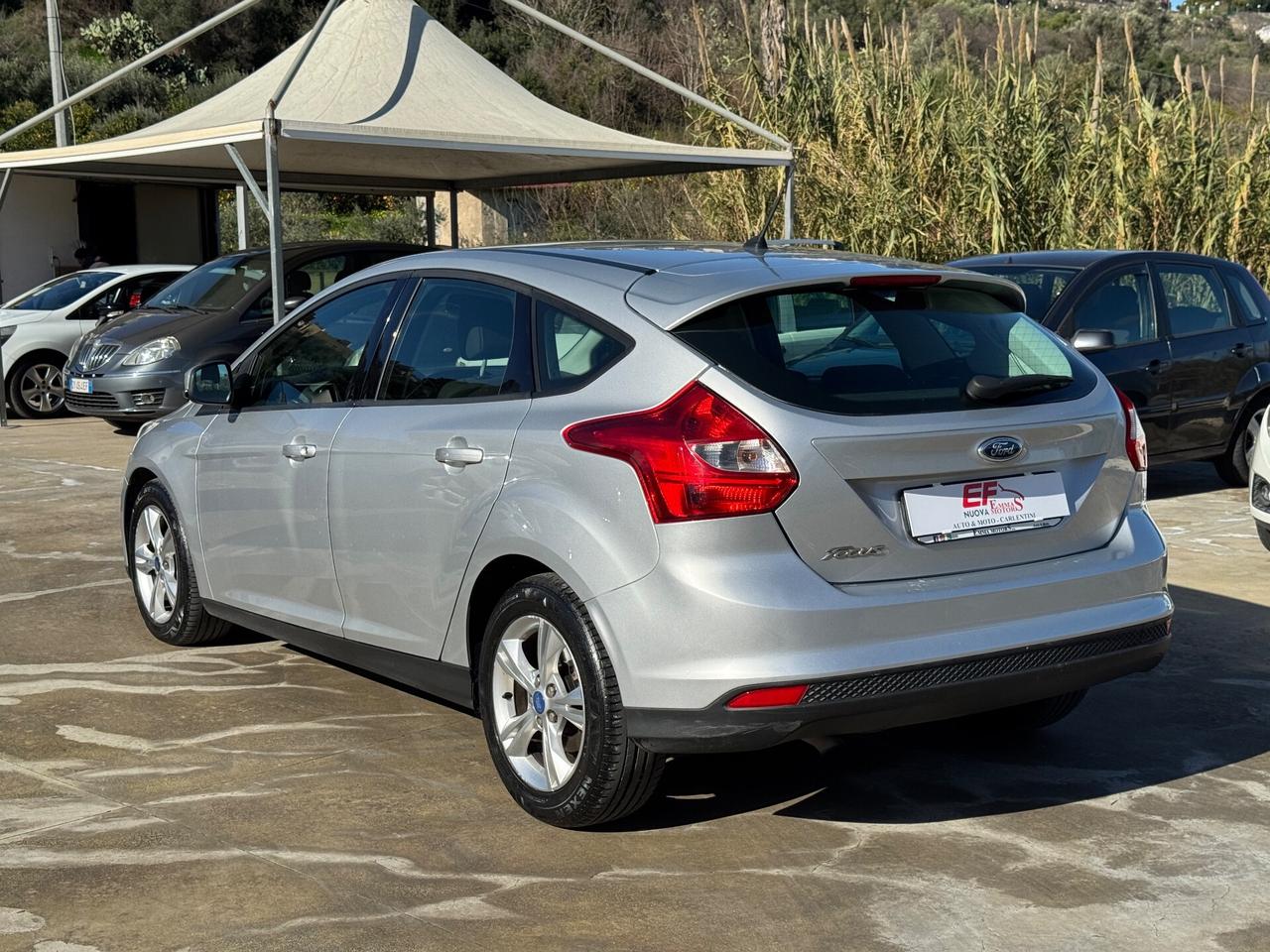 Ford Focus 1.6 TDCi 116 CV SW Titanium Distribuzione nuova