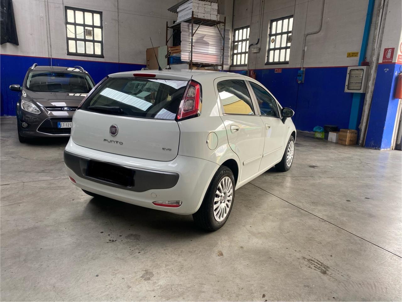 Fiat Punto Evo Punto Evo 1.4 5 porte S&S Dynamic