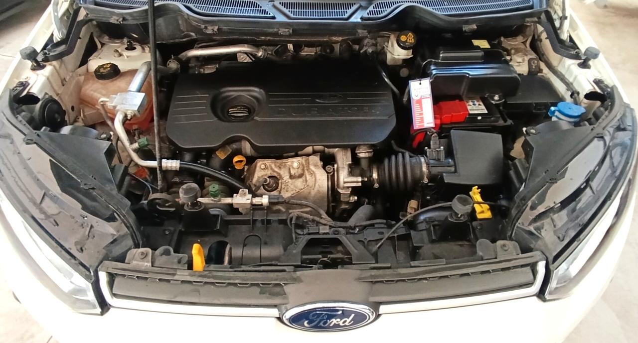 Ford EcoSport 1.5 TDCi 95 CV Plus - Uniproprietario - OK Neopatentati