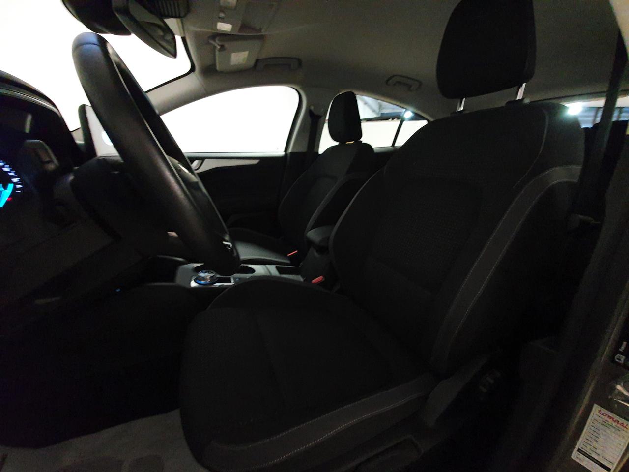 FORD Focus 4ª serie - Focus 1.5 EcoBlue 120 CV automatico 5p. Business Co-Pilot