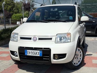 Fiat Panda 1.2 4x4 UNICO PROPRIETARIO