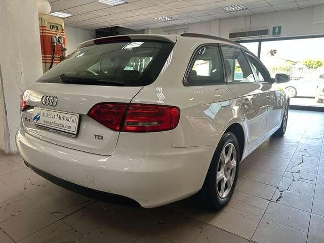Audi A4 A4 Avant 2.0 tdi multitr. Fap SUBITO DISPONIBILE