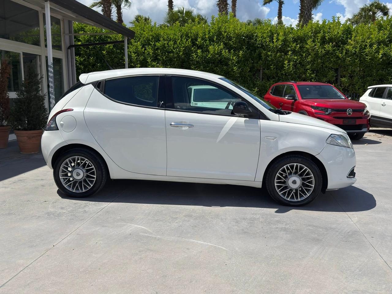 Lancia Ypsilon 1.3 MJT 16V 95 CV 5 porte S&S Platinum