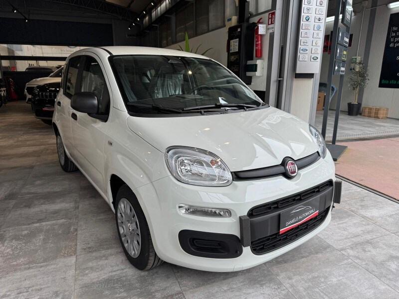 FIAT Panda 3ª serie Panda 1.0 FireFly S&S Hybrid