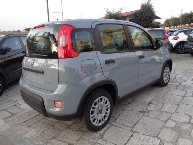 FIAT Panda 1000 HYBRID PANDA 70CV STEREO BLUET ITALIA