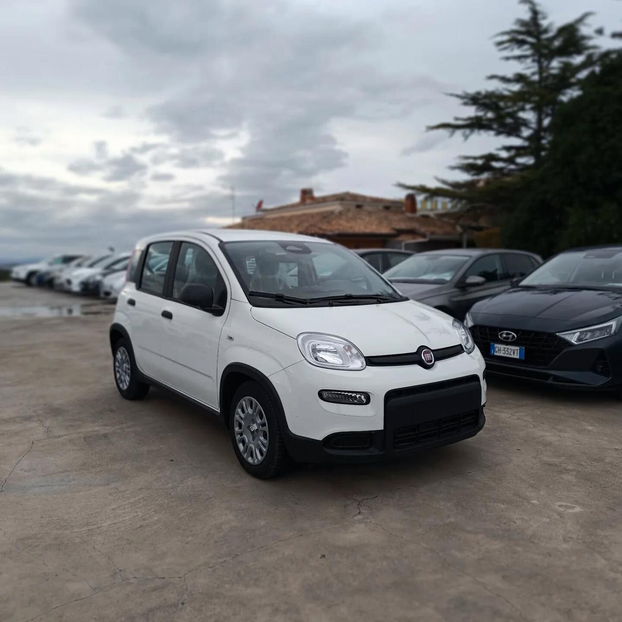 Fiat Panda 1.0 S&S Hybrid Pandina KM0 PRONTA CONSEGNA
