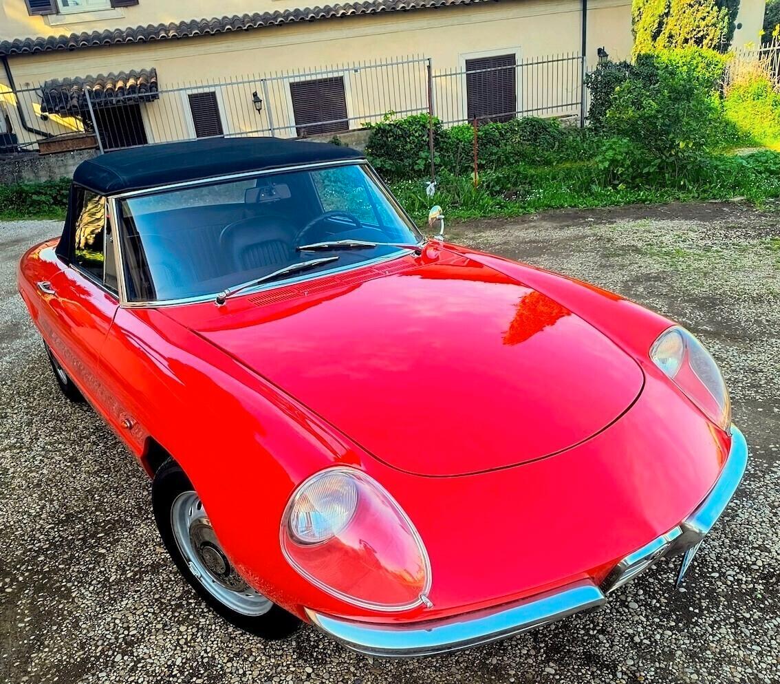 Alfa Romeo Spider 1600 OSSO DI SEPPIA