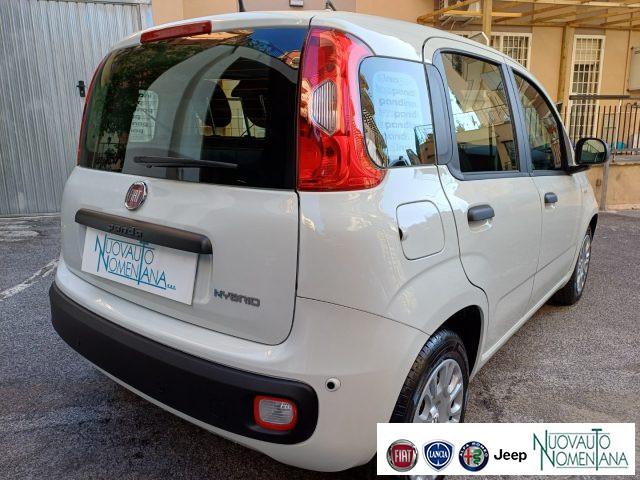 FIAT Panda 1.0 FireFly S&S Hybrid Icon 5°Posto Auto Nuova