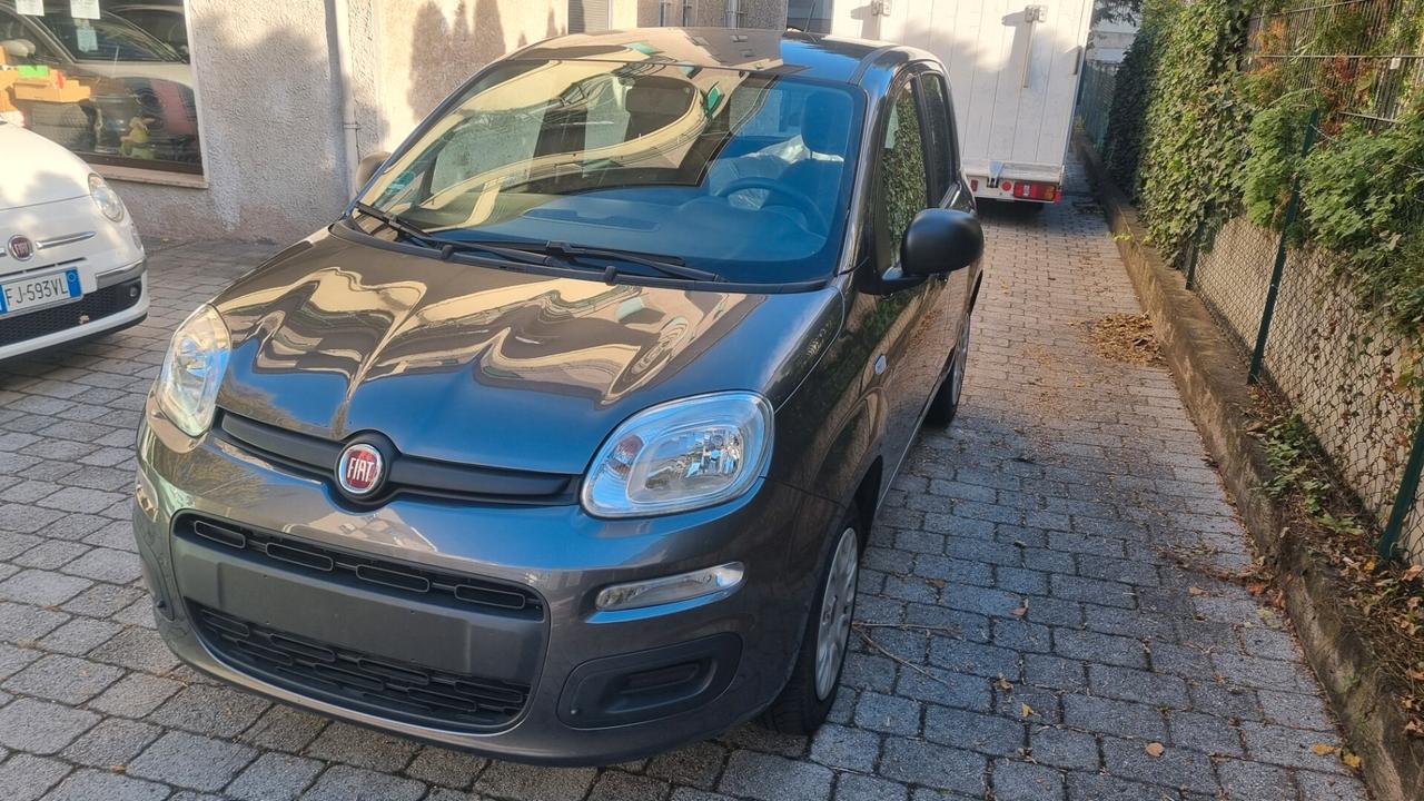 Fiat Panda 1.2 69CV 10/2018 Km 21000 neopat