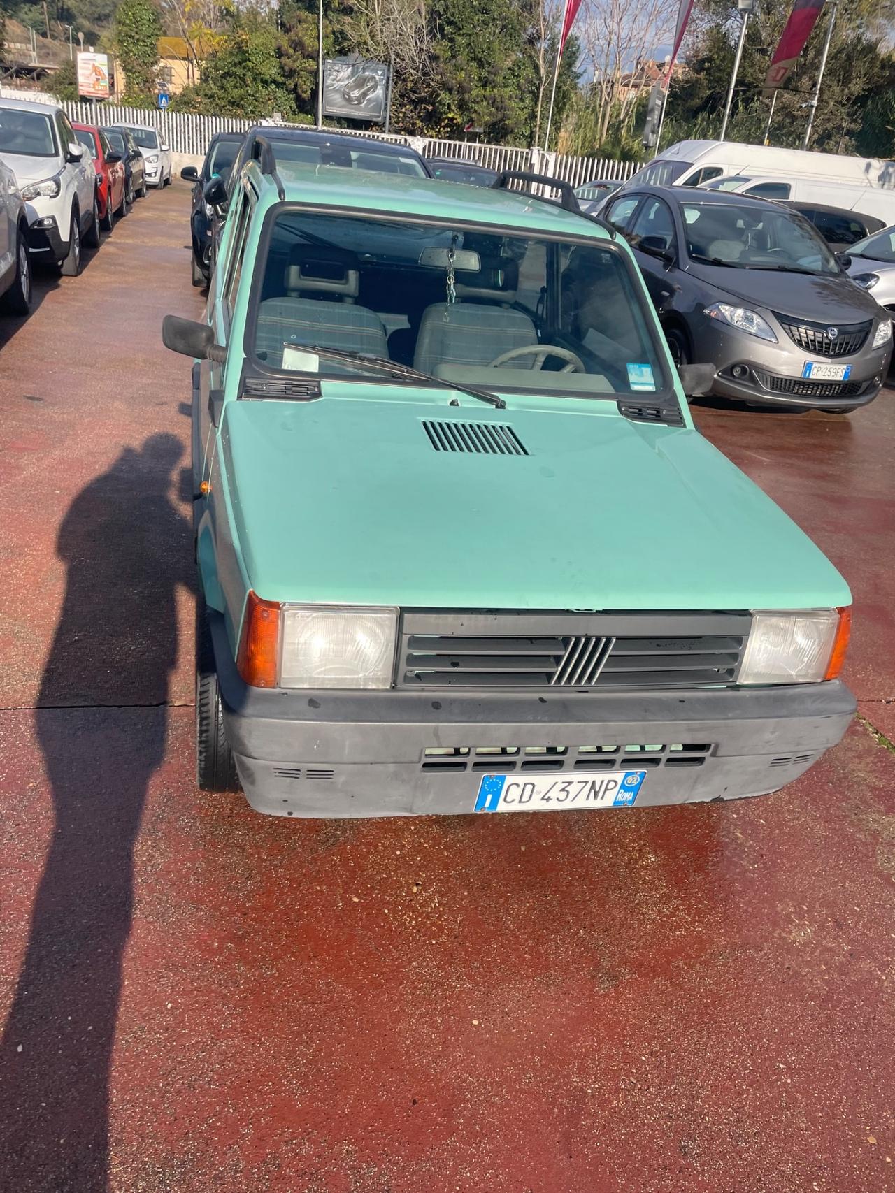 Fiat Panda 1100 i.e. cat Young