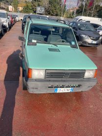 Fiat Panda 1100 i.e. cat Young