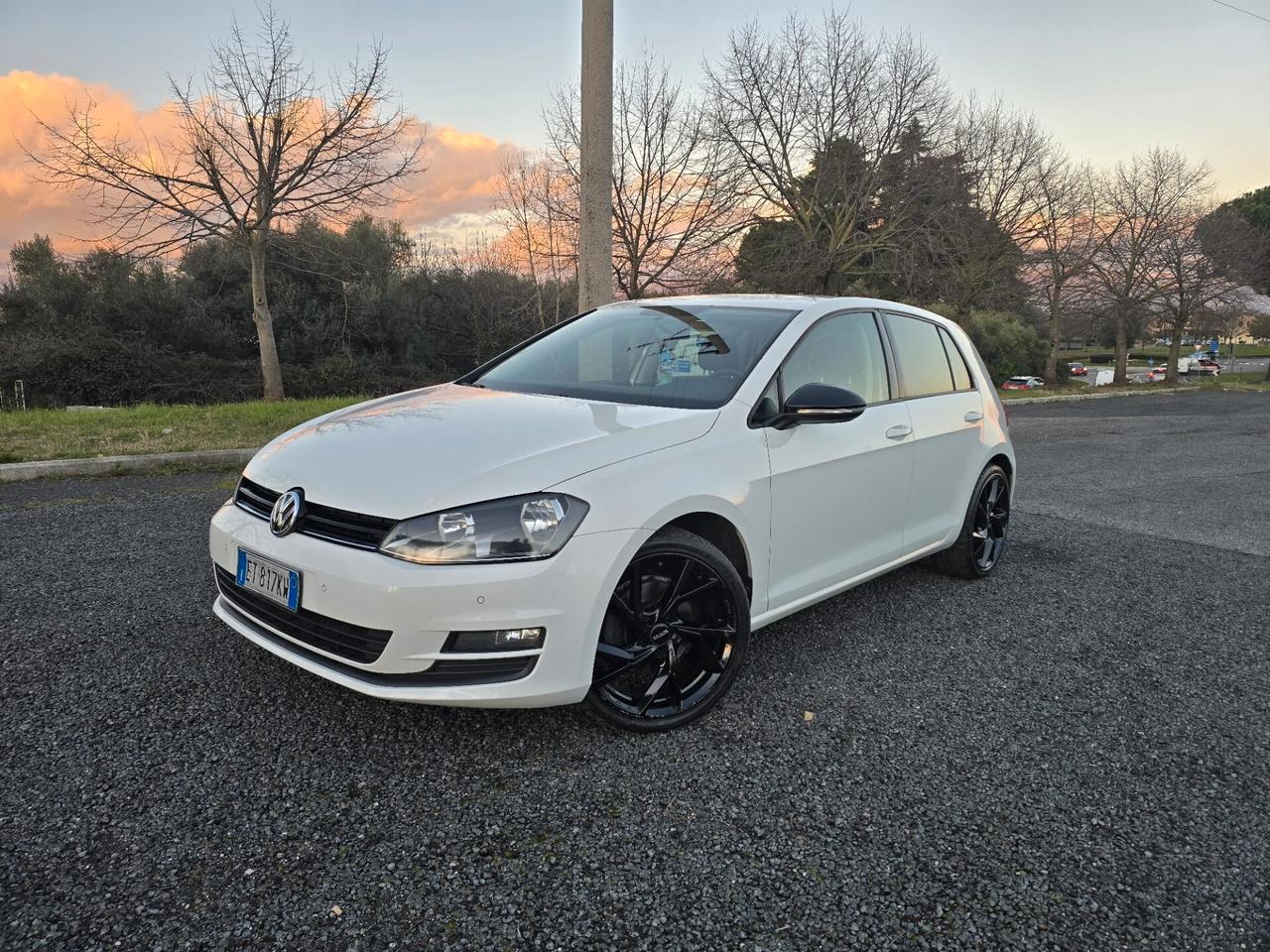 Volkswagen Golf 1.6 TDI 5p. Highline BlueMotion