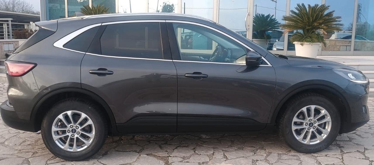 Ford Kuga 2.0 EcoBlue Hybrid 150 CV 2WD Titanium