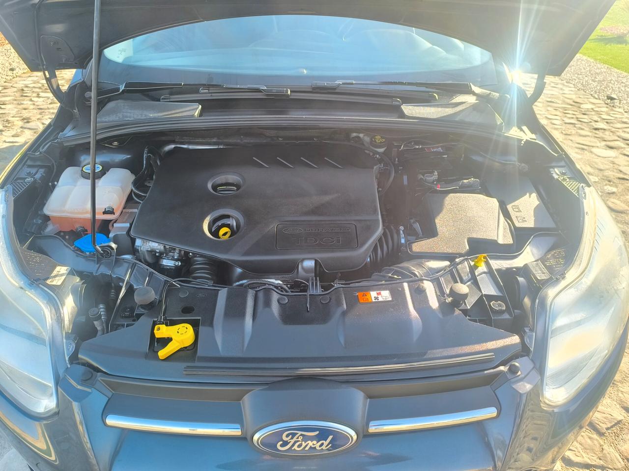 Ford Focus 1.6 TDCi 115 CV Titanium perfetta full optional