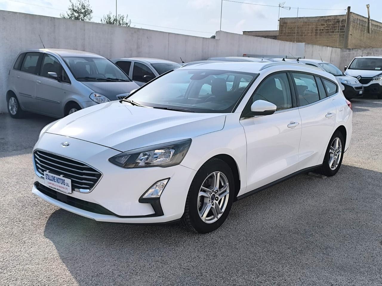 Ford Focus 1.5 EcoBlue 120 CV SW Business 2021