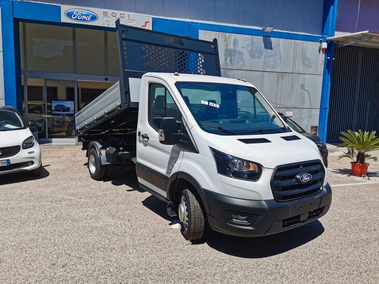 Ford Transit 350 2.0TDCi EcoBlue 130CV RWD PL Cab.Trend