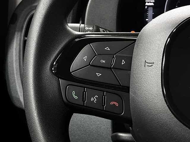 Fiat Panda 1.0 FireFly S&S Hybrid 5 Posti KM ZERO