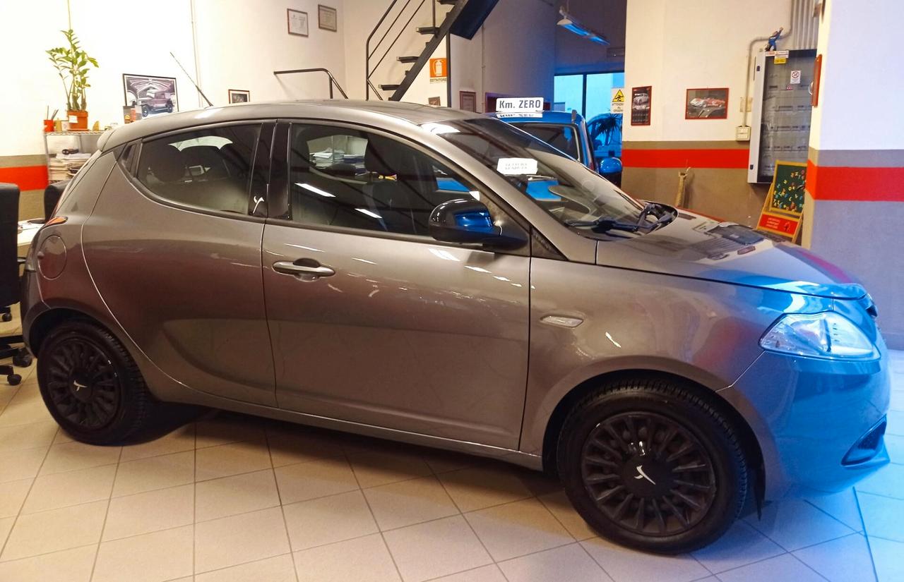 Lancia Ypsilon 1.2 69 CV 5 porte GPL Ecochic Elefantino