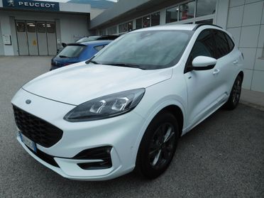 Ford Kuga 2.0 EcoBlue 120CV aut. AWD ST-Line X
