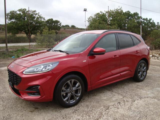 Ford Kuga 1.5 EcoBlue 120 CV 2WD ST-Line 2021