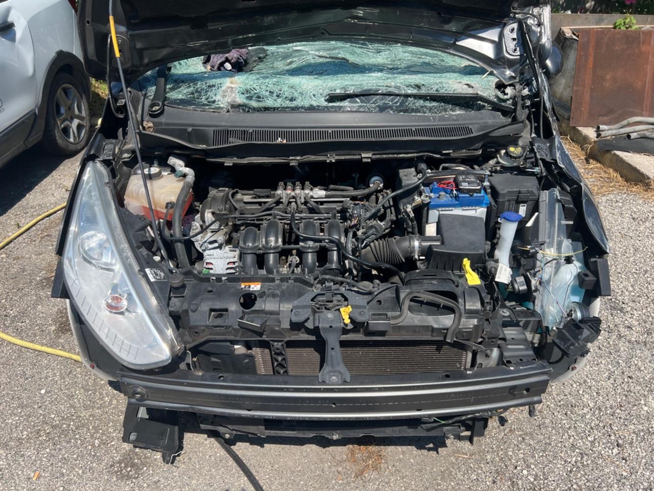 Ford B-Max 1.4 90 CV GPL Plus