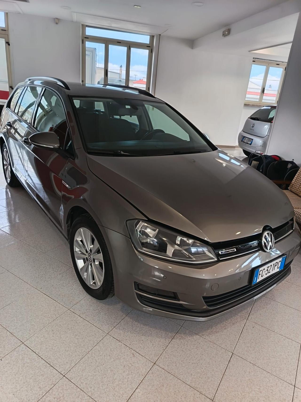 Volkswagen Golf Variant 1.4 TGI DSG Executive BlueMotion