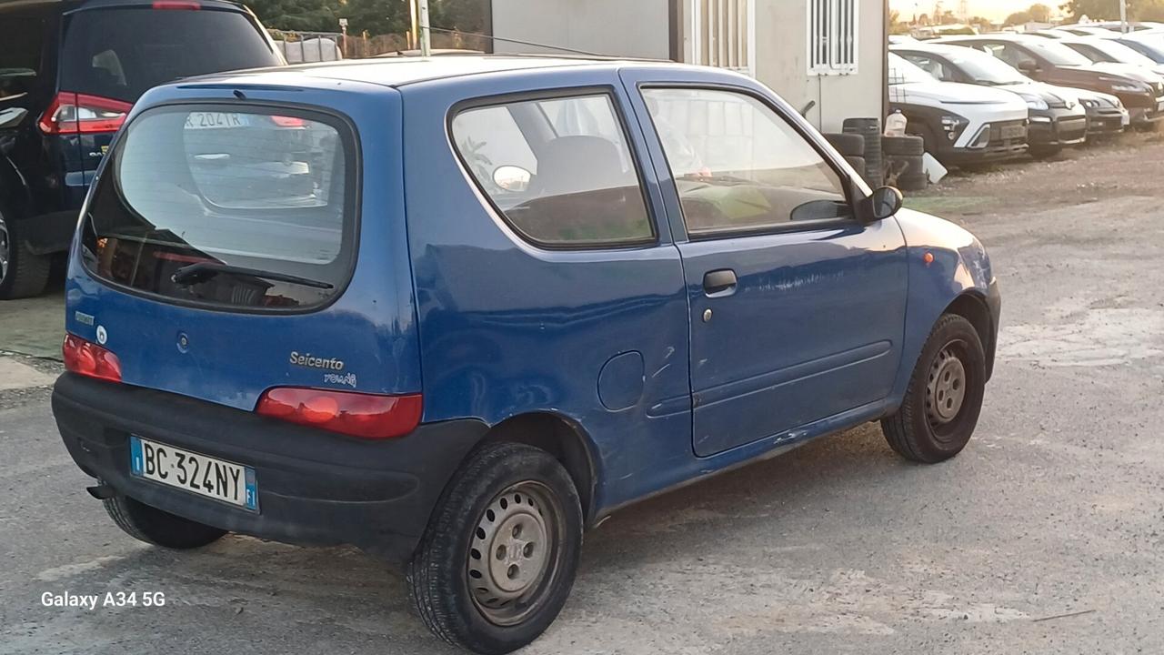 Fiat Seicento 900i cat Young