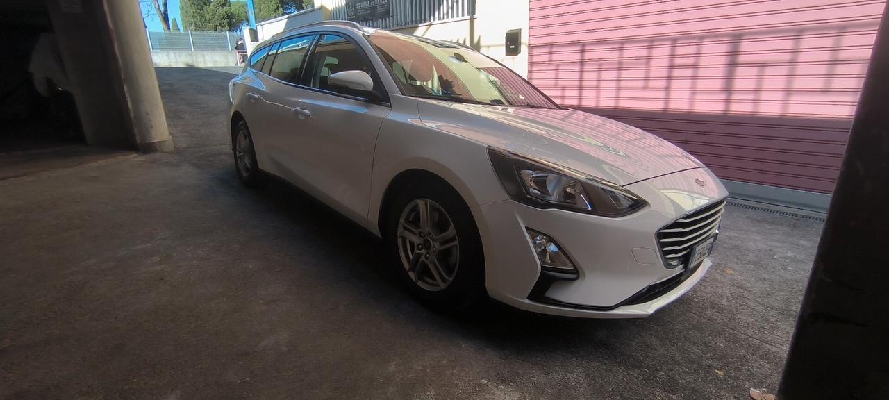 Ford Focus 1.5 EcoBlue 120 CV automatico SW Business Co-Pilot