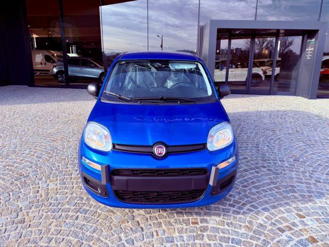 FIAT New Panda ICON - KM 0 10/2025- 5° POSTO - RADIO - SENSORI