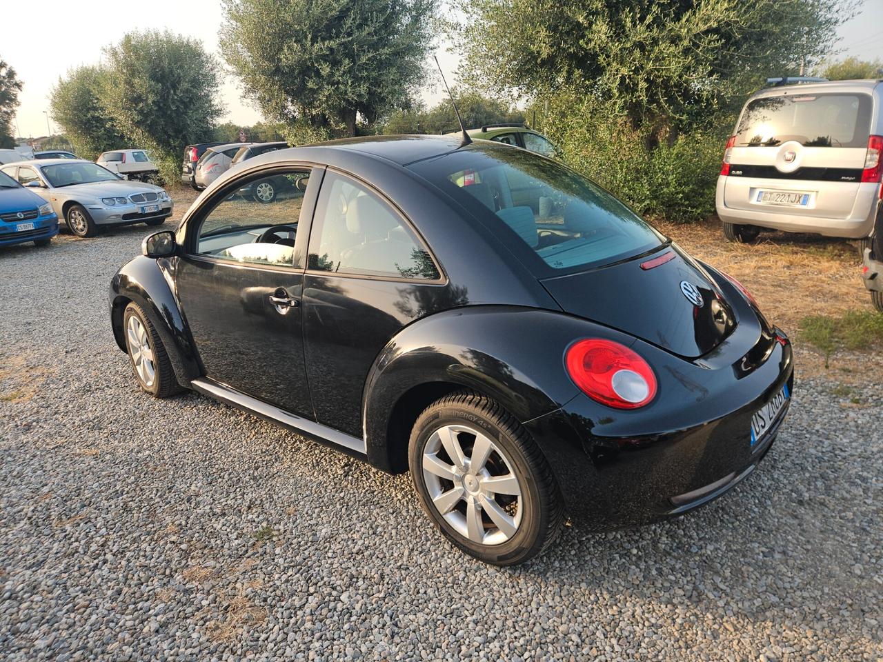 Volkswagen New Beetle 1.9 TDI 105CV