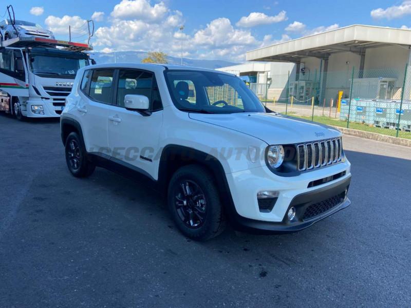 Jeep Renegade Renegade My21 Business 1.3 GseT4 150cv Ddct