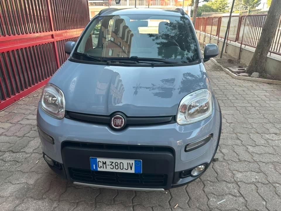 Fiat Panda 1.2 ALLESTIMENTO 4X4 36 MESI DI GARANZIA